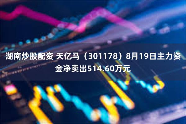 湖南炒股配资 天亿马（301178）8月19日主力资金净卖出514.60万元