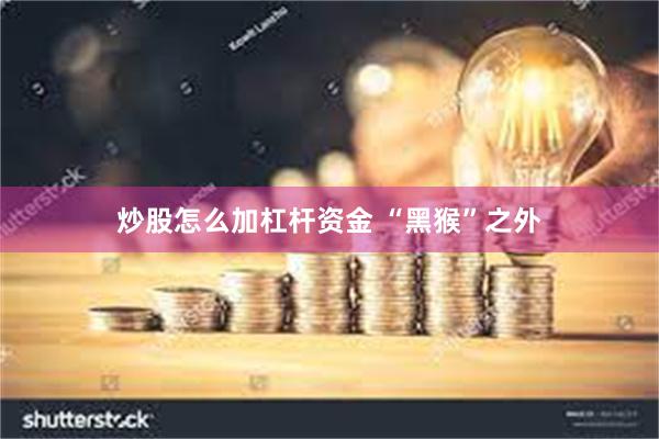 炒股怎么加杠杆资金 “黑猴”之外