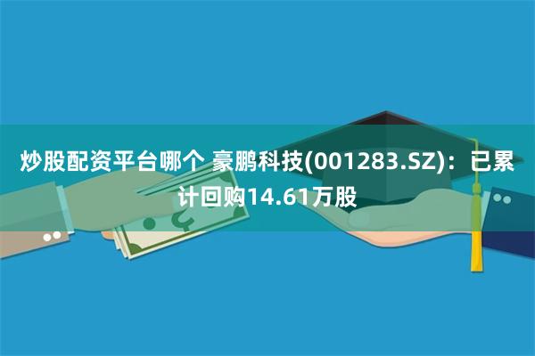 炒股配资平台哪个 豪鹏科技(001283.SZ)：已累计回购14.61万股