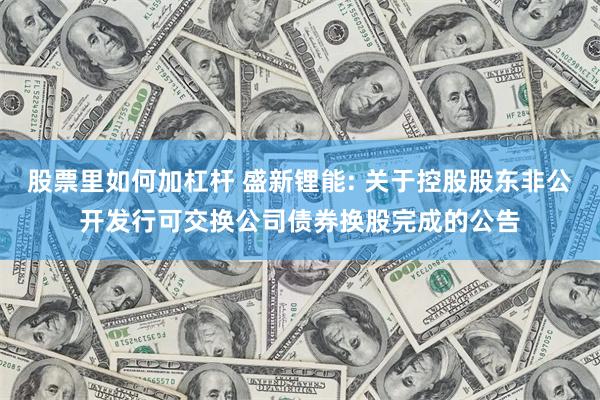 股票里如何加杠杆 盛新锂能: 关于控股股东非公开发行可交换公司债券换股完成的公告