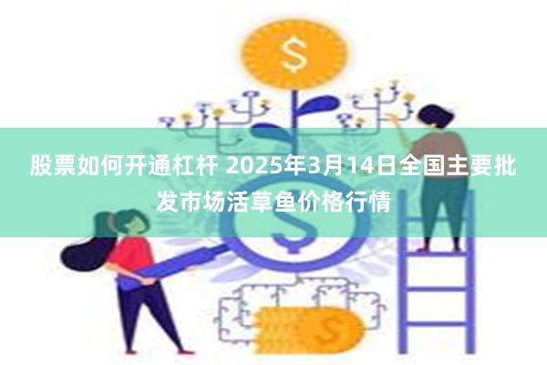 股票如何开通杠杆 2025年3月14日全国主要批发市场活草鱼价格行情