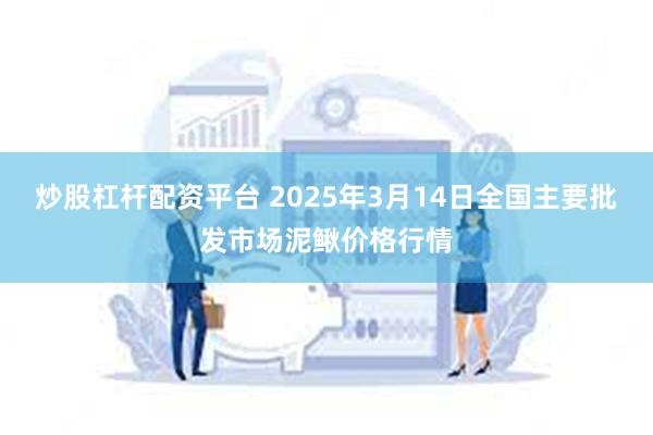 炒股杠杆配资平台 2025年3月14日全国主要批发市场泥鳅价格行情